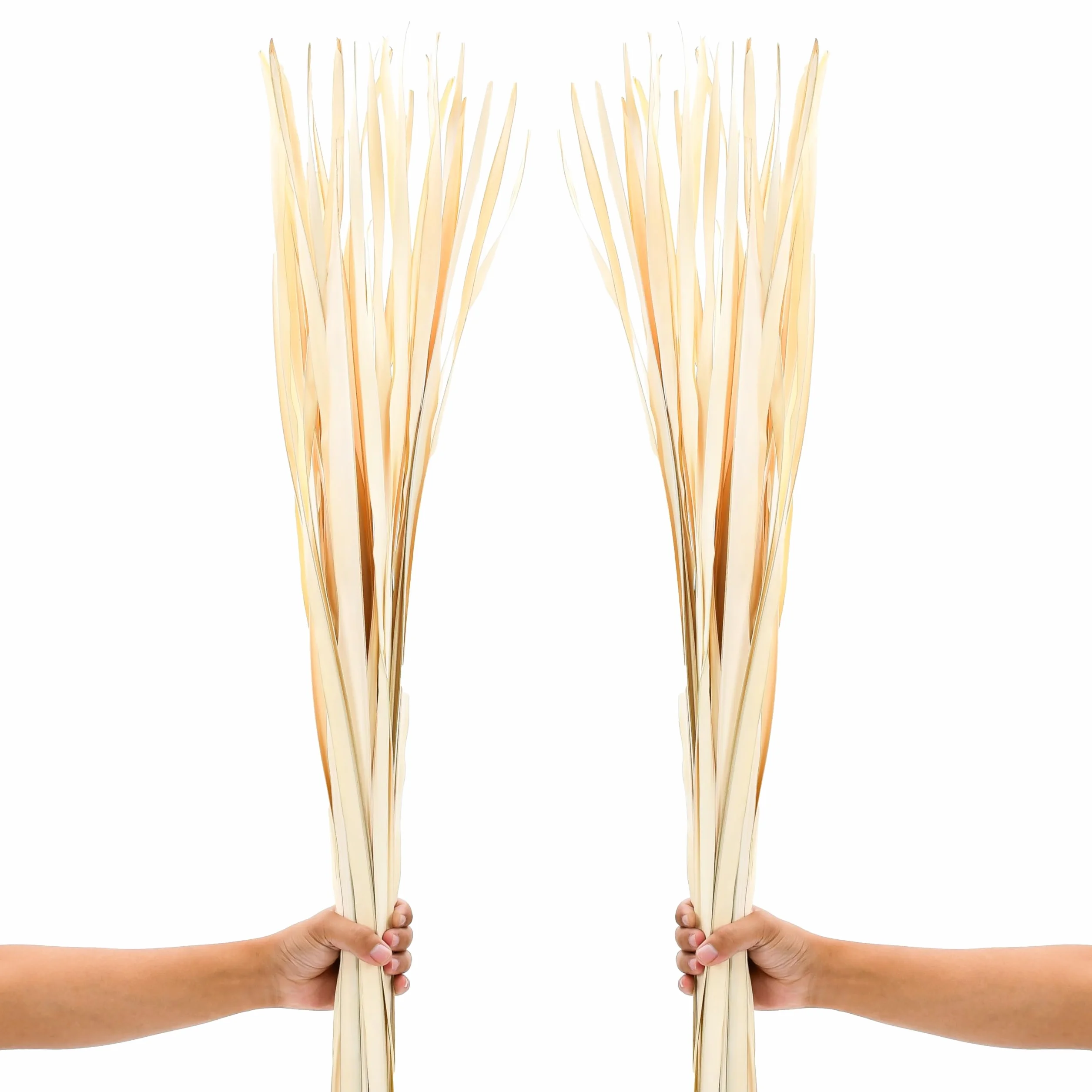 LEEWADEE Décoration Vase Sol - Feuilles de Palmier Séchées 115 cm Naturel, Set 2 Bouquets