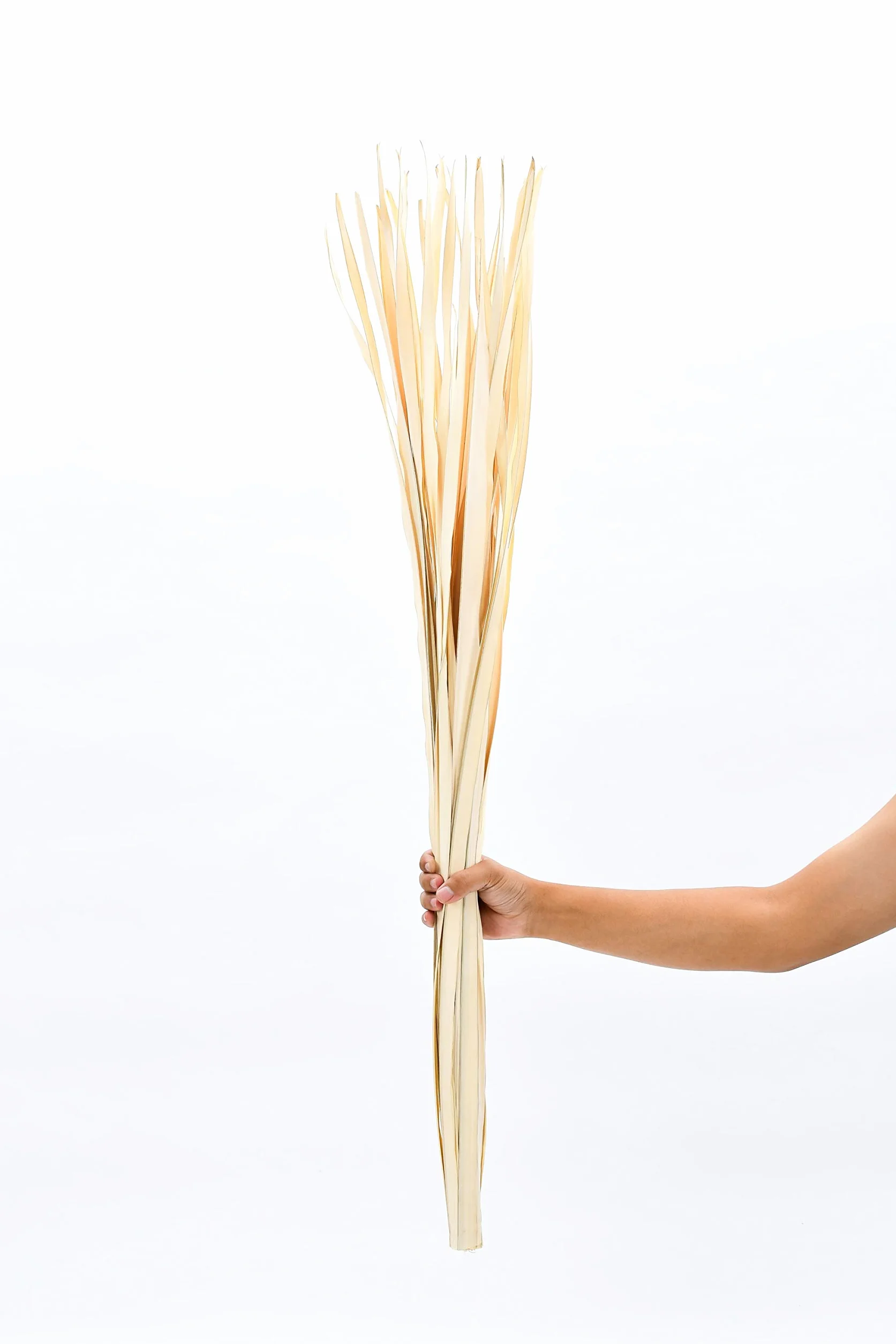 LEEWADEE Décoration Vase Sol - Feuilles de Palmier Séchées 115 cm Naturel, Set 2 Bouquets